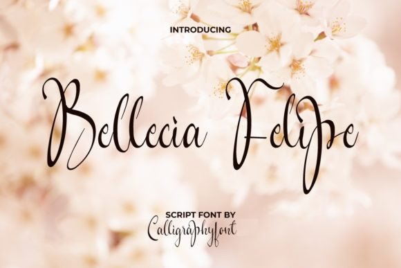 Bellecia Felipe: A Timeless Script for Modern Branding