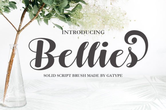 Bellies: The Modern Script Font That Elevates Every Design