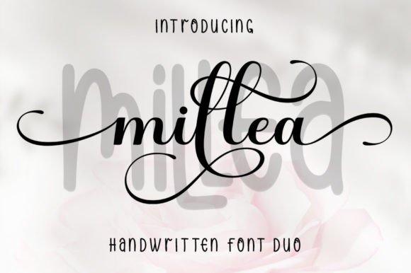 Millea: The Duo Font That Bridges Elegance and Modernity