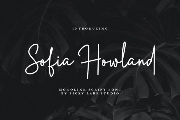 Sofia Howland: A Strategic Asset for High-End Branding and Communication